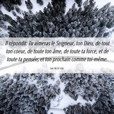 Picture 06 - Luc 10:27 LSG - Il répondit: Tu aimeras le Seigneur, ton Dieu, - Bible Verse Picture