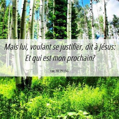 Picture 06 - Luc 10:29 LSG - Mais lui, voulant se justifier, dit à Jésus: Et - Bible Verse Picture