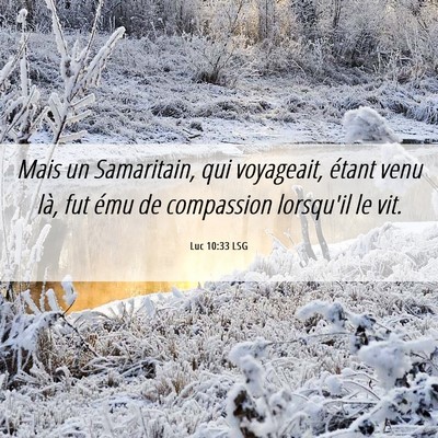 Picture 06 - Luc 10:33 LSG - Mais un Samaritain, qui voyageait, étant venu - Bible Verse Picture