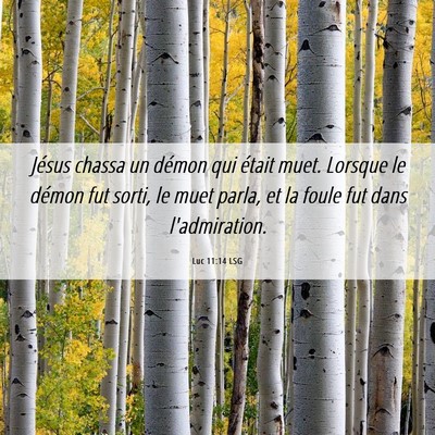 Picture 06 - Luc 11:14 LSG - Jésus chassa un démon qui était muet. Lorsque - Bible Verse Picture