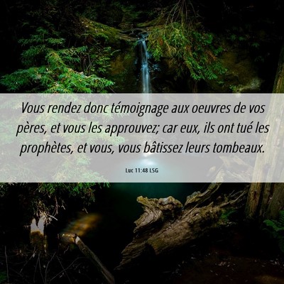 Picture 06 - Luc 11:48 LSG - Vous rendez donc témoignage aux oeuvres de vos - Bible Verse Picture