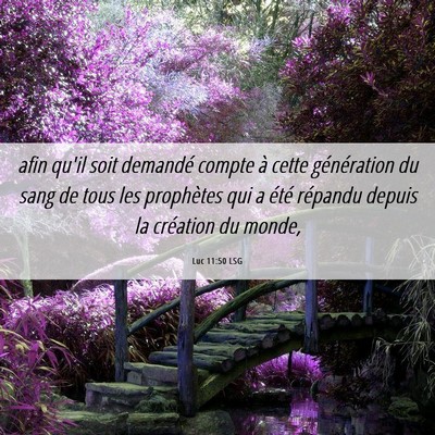Picture 06 - Luc 11:50 LSG - afin qu'il soit demandé compte à cette - Bible Verse Picture