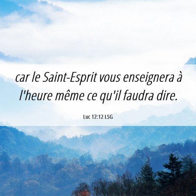 Picture 06 - Luc 12:12 LSG - car le Saint-Esprit vous enseignera à l'heure - Bible Verse Picture