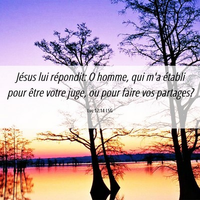 Picture 06 - Luc 12:14 LSG - Jésus lui répondit: O homme, qui m'a établi - Bible Verse Picture