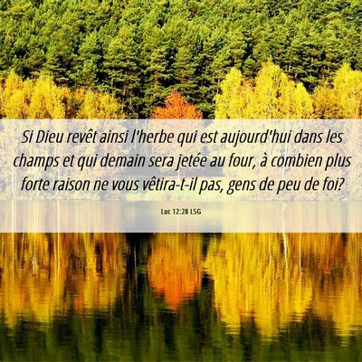 Picture 06 - Luc 12:28 LSG - Si Dieu revêt ainsi l'herbe qui est aujourd'hui - Bible Verse Picture