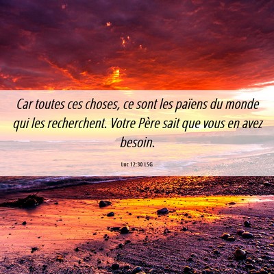 Picture 06 - Luc 12:30 LSG - Car toutes ces choses, ce sont les païens du - Bible Verse Picture