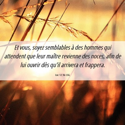 Picture 06 - Luc 12:36 LSG - Et vous, soyez semblables à des hommes qui - Bible Verse Picture