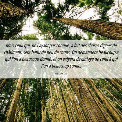 Picture 06 - Luc 12:48 LSG - Mais celui qui, ne l'ayant pas connue, a fait des - Bible Verse Picture