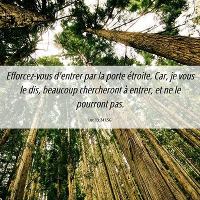 Picture 06 - Luc 13:24 LSG - Efforcez-vous d'entrer par la porte étroite. - Bible Verse Picture