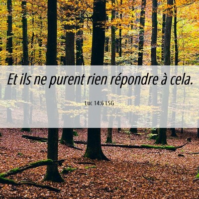 Picture 06 - Luc 14:6 LSG - Et ils ne purent rien répondre à - Bible Verse Picture