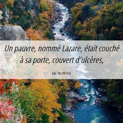 Picture 06 - Luc 16:20 LSG - Un pauvre, nommé Lazare, était couché à sa - Bible Verse Picture