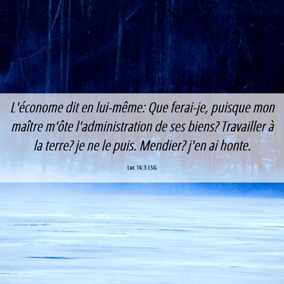 Picture 06 - Luc 16:3 LSG - L'économe dit en lui-même: Que ferai-je, - Bible Verse Picture