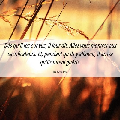 Picture 06 - Luc 17:14 LSG - Dès qu'il les eut vus, il leur dit: Allez vous - Bible Verse Picture
