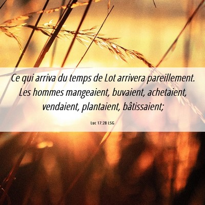 Picture 06 - Luc 17:28 LSG - Ce qui arriva du temps de Lot arrivera - Bible Verse Picture
