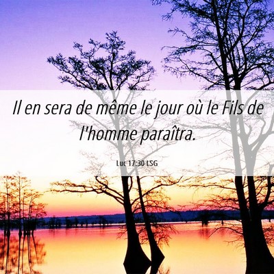 Picture 06 - Luc 17:30 LSG - Il en sera de même le jour où le Fils de - Bible Verse Picture