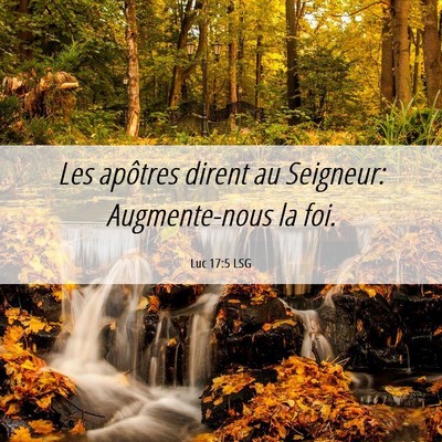 Picture 06 - Luc 17:5 LSG - Les apôtres dirent au Seigneur: Augmente-nous la - Bible Verse Picture