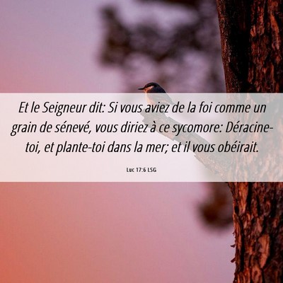 Picture 06 - Luc 17:6 LSG - Et le Seigneur dit: Si vous aviez de la foi comme - Bible Verse Picture