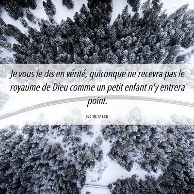 Picture 06 - Luc 18:17 LSG - Je vous le dis en vérité, quiconque ne recevra - Bible Verse Picture