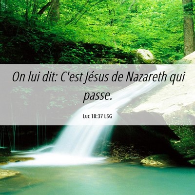 Picture 06 - Luc 18:37 LSG - On lui dit: C'est Jésus de Nazareth qui - Bible Verse Picture