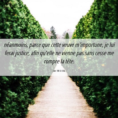 Picture 06 - Luc 18:5 LSG - néanmoins, parce que cette veuve m'importune, je - Bible Verse Picture
