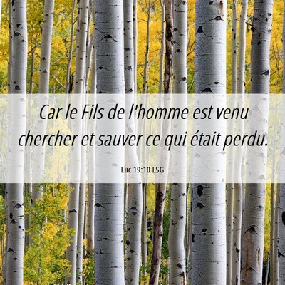 Picture 06 - Luc 19:10 LSG - Car le Fils de l'homme est venu chercher et - Bible Verse Picture