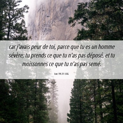 Picture 06 - Luc 19:21 LSG - car j'avais peur de toi, parce que tu es un homme - Bible Verse Picture