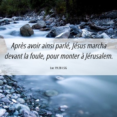 Picture 06 - Luc 19:28 LSG - Après avoir ainsi parlé, Jésus marcha devant - Bible Verse Picture
