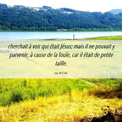Picture 06 - Luc 19:3 LSG - cherchait à voir qui était Jésus; mais il ne - Bible Verse Picture
