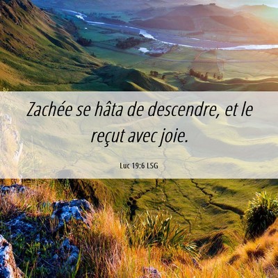 Picture 06 - Luc 19:6 LSG - Zachée se hâta de descendre, et le reçut avec - Bible Verse Picture