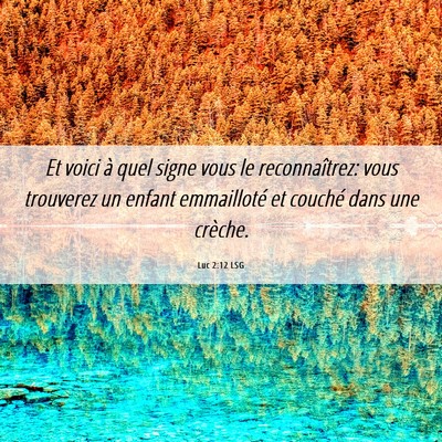 Picture 06 - Luc 2:12 LSG - Et voici à quel signe vous le reconnaîtrez: - Bible Verse Picture