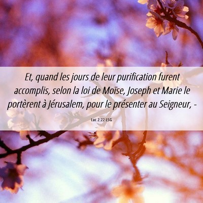 Picture 06 - Luc 2:22 LSG - Et, quand les jours de leur purification furent - Bible Verse Picture