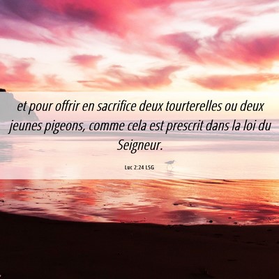 Picture 06 - Luc 2:24 LSG - et pour offrir en sacrifice deux tourterelles ou - Bible Verse Picture