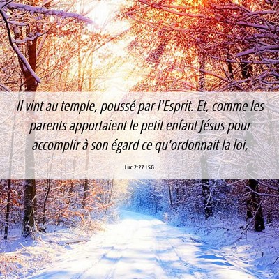 Picture 06 - Luc 2:27 LSG - Il vint au temple, poussé par l'Esprit. Et, - Bible Verse Picture