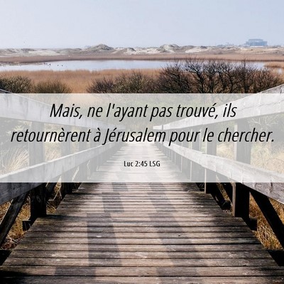 Picture 06 - Luc 2:45 LSG - Mais, ne l'ayant pas trouvé, ils retournèrent - Bible Verse Picture