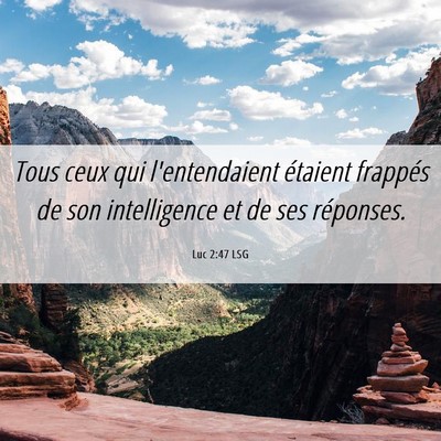 Picture 06 - Luc 2:47 LSG - Tous ceux qui l'entendaient étaient frappés de - Bible Verse Picture