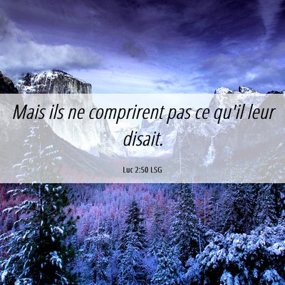 Picture 06 - Luc 2:50 LSG - Mais ils ne comprirent pas ce qu'il leur - Bible Verse Picture