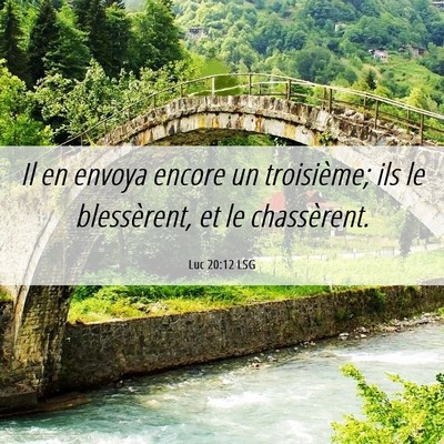Picture 06 - Luc 20:12 LSG - Il en envoya encore un troisième; ils le - Bible Verse Picture