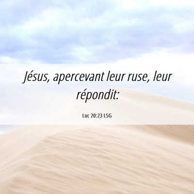 Picture 06 - Luc 20:23 LSG - Jésus, apercevant leur ruse, leur - Bible Verse Picture