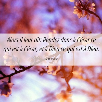 Picture 06 - Luc 20:25 LSG - Alors il leur dit: Rendez donc à César ce qui - Bible Verse Picture