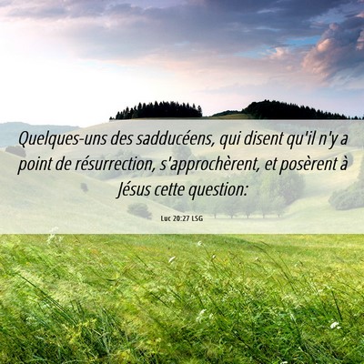 Picture 06 - Luc 20:27 LSG - Quelques-uns des sadducéens, qui disent qu'il - Bible Verse Picture
