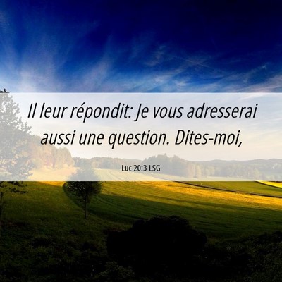 Picture 06 - Luc 20:3 LSG - Il leur répondit: Je vous adresserai aussi une - Bible Verse Picture
