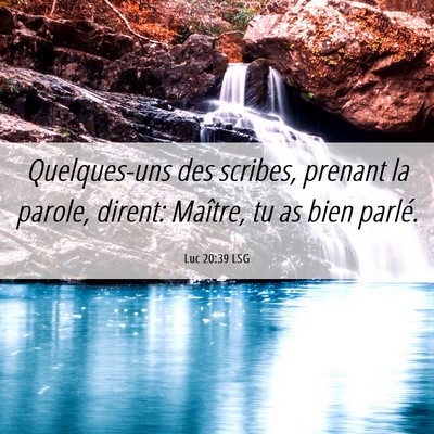 Picture 06 - Luc 20:39 LSG - Quelques-uns des scribes, prenant la parole, - Bible Verse Picture