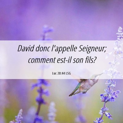 Picture 06 - Luc 20:44 LSG - David donc l'appelle Seigneur; comment est-il son - Bible Verse Picture