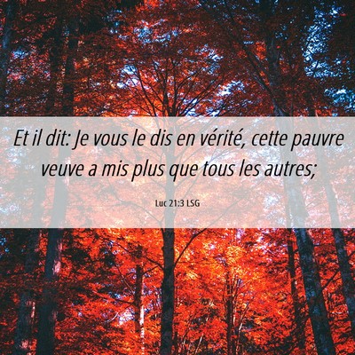 Picture 06 - Luc 21:3 LSG - Et il dit: Je vous le dis en vérité, cette - Bible Verse Picture