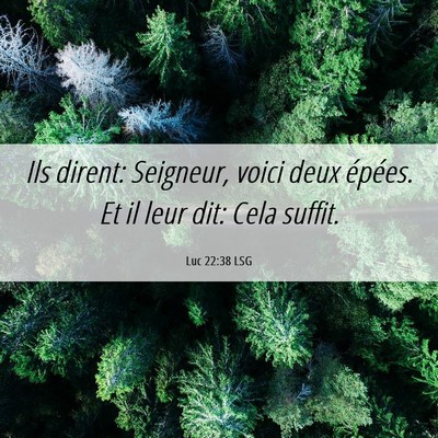 Picture 06 - Luc 22:38 LSG - Ils dirent: Seigneur, voici deux épées. Et il - Bible Verse Picture