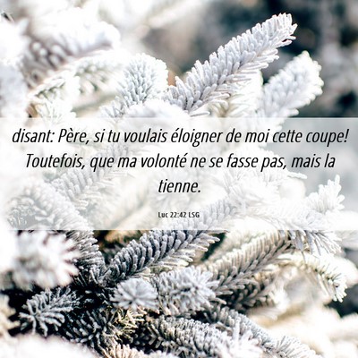 Picture 06 - Luc 22:42 LSG - disant: Père, si tu voulais éloigner de moi - Bible Verse Picture