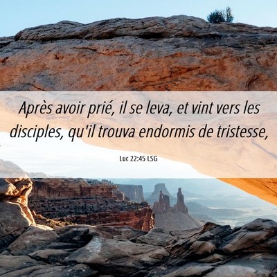 Picture 06 - Luc 22:45 LSG - Après avoir prié, il se leva, et vint vers les - Bible Verse Picture