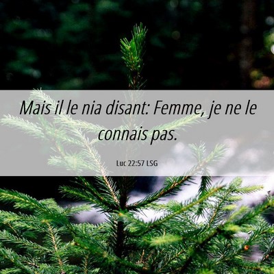 Picture 06 - Luc 22:57 LSG - Mais il le nia disant: Femme, je ne le connais - Bible Verse Picture