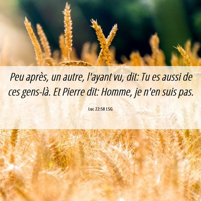 Picture 06 - Luc 22:58 LSG - Peu après, un autre, l'ayant vu, dit: Tu es - Bible Verse Picture