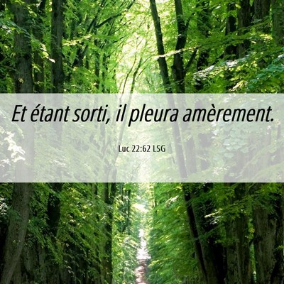 Picture 06 - Luc 22:62 LSG - Et étant sorti, il pleura - Bible Verse Picture